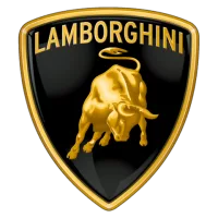 Repair abs pump Lamborghini