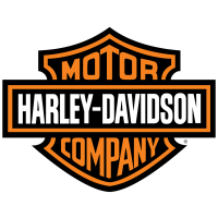 Riparazione centralina abs Harley Davidson