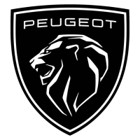 Repair abs pump Peugeot